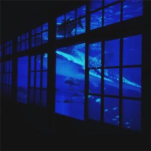 二次元泳装大雷的动漫
